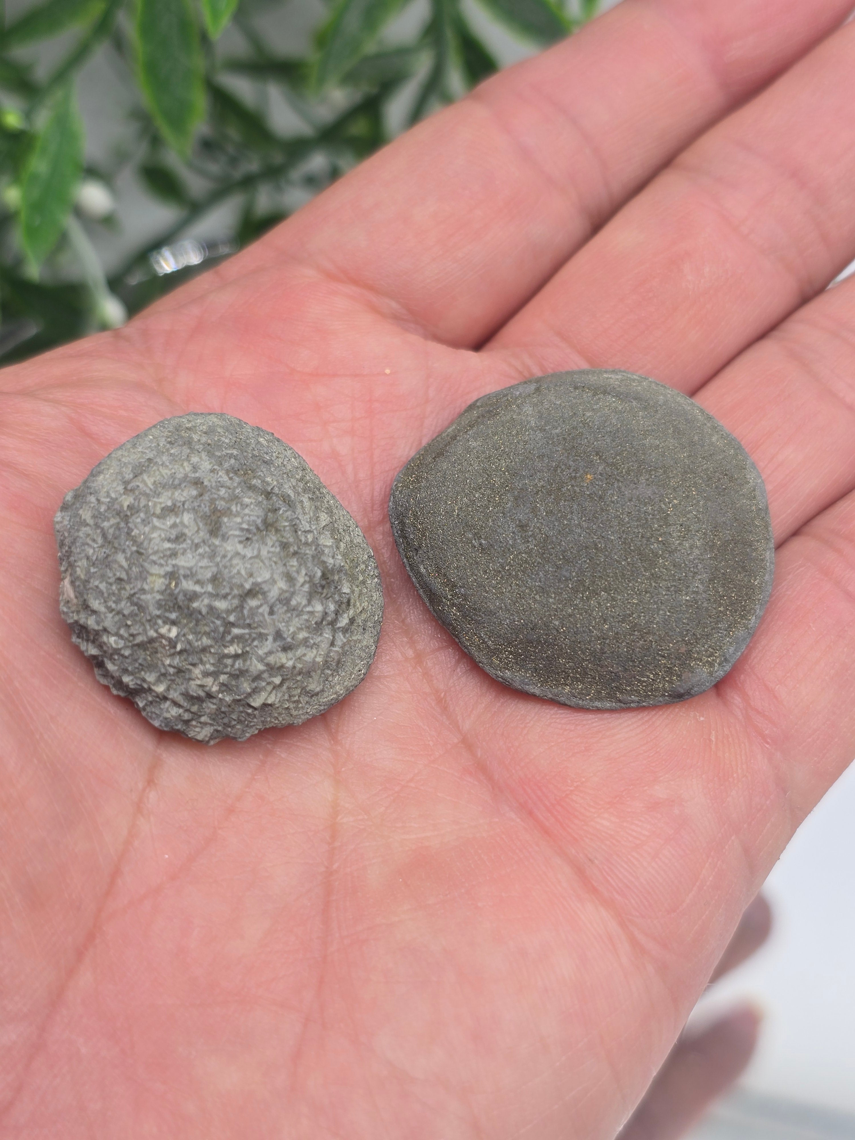 Boji Stones XLarge 65x36x17mm – Twin Energy Balance & Ancient Earth Grounding Power Crystal Wellness