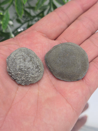 Boji Stones XLarge 65x36x17mm – Twin Energy Balance & Ancient Earth Grounding Power Crystal Wellness