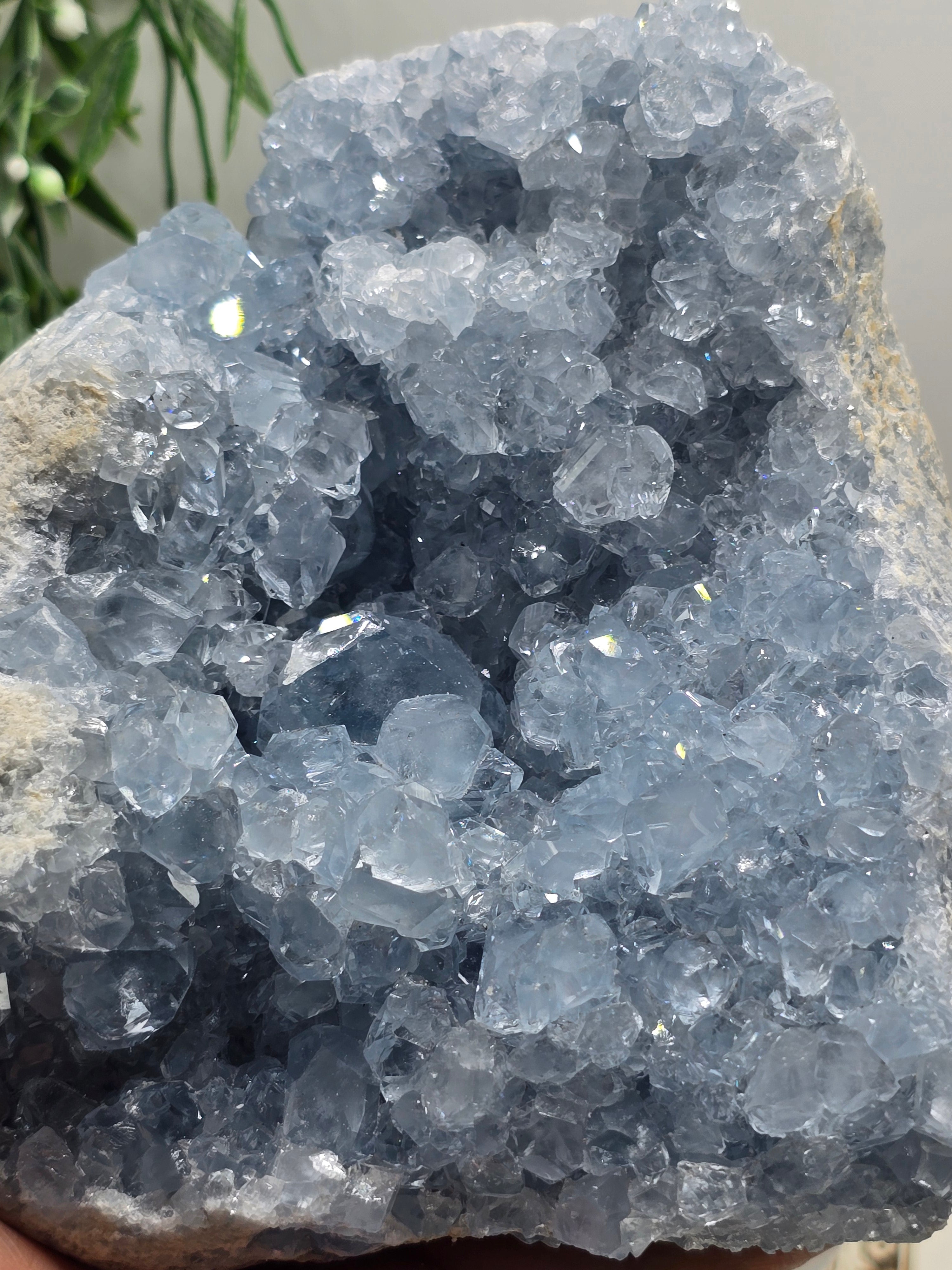 Large Celestite Geode Cluster – Madagascar | Divine Peace, Angelic Connection & Higher Guidance 2.3kgs 15x14x8cm Crystal Wellness