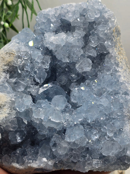 Large Celestite Geode Cluster – Madagascar | Divine Peace, Angelic Connection & Higher Guidance 2.3kgs 15x14x8cm Crystal Wellness