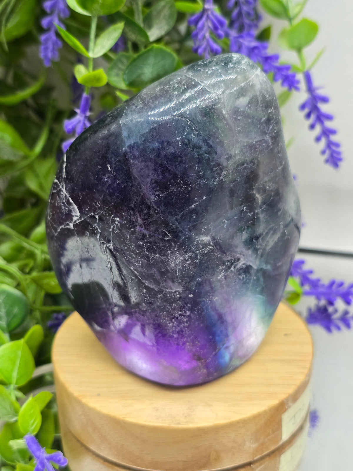 Rainbow Fluorite Freeform — Stone of Clarity, Balance & Concentration | 944g Crystal Wellness