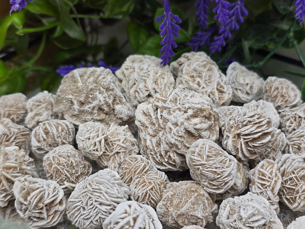 Desert Rose Crystal Wellness