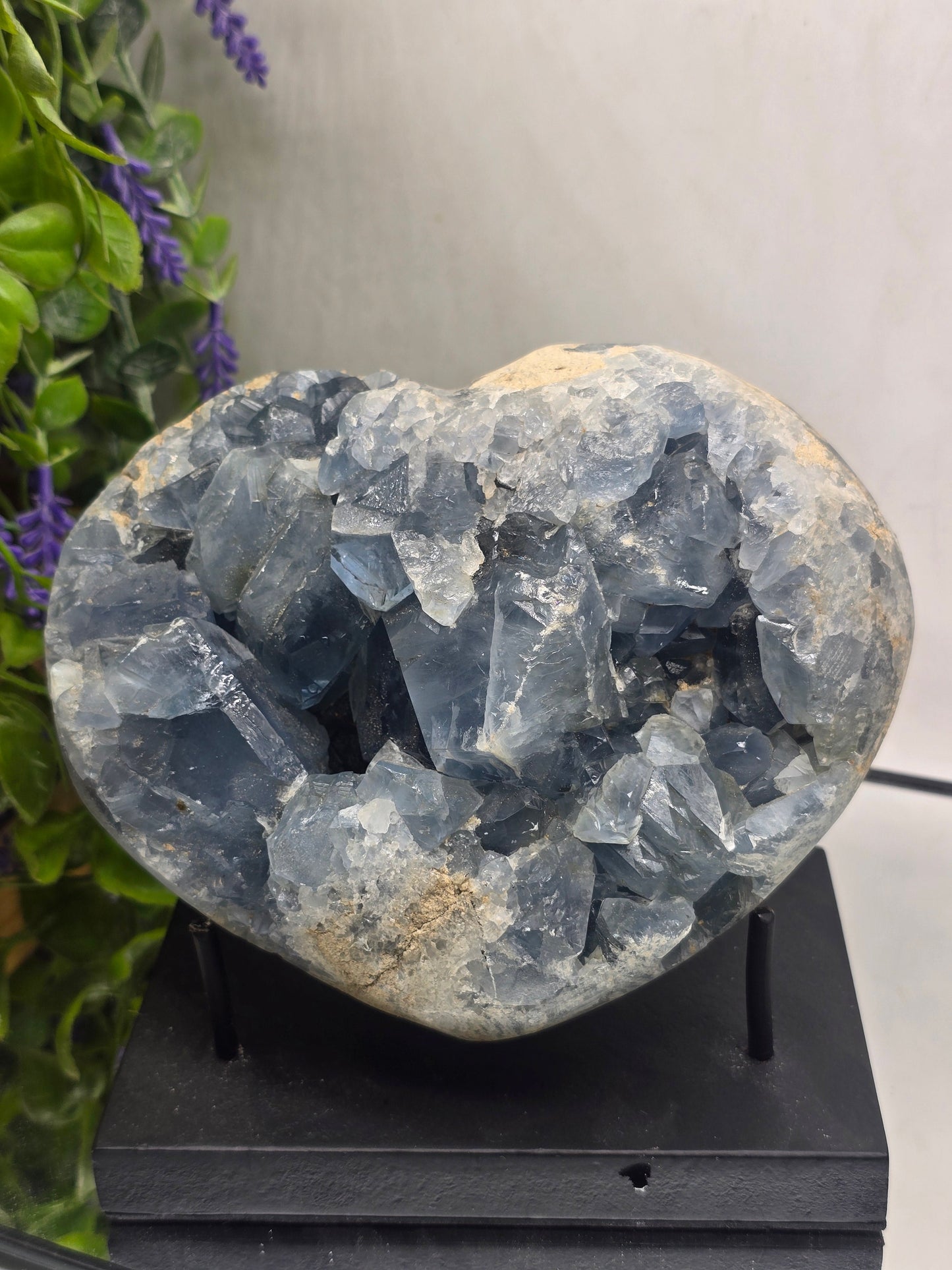 Celestial Calm – Celestite Crystal Geode (3.5kg)” Crystal Wellness