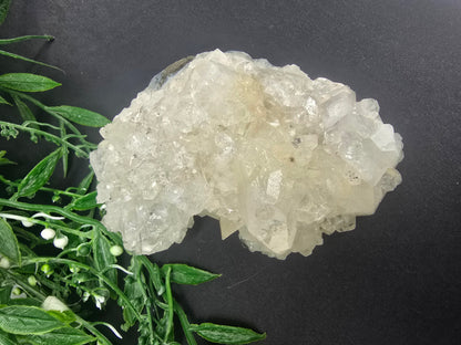 Apophyllite #8 Crystal Wellness