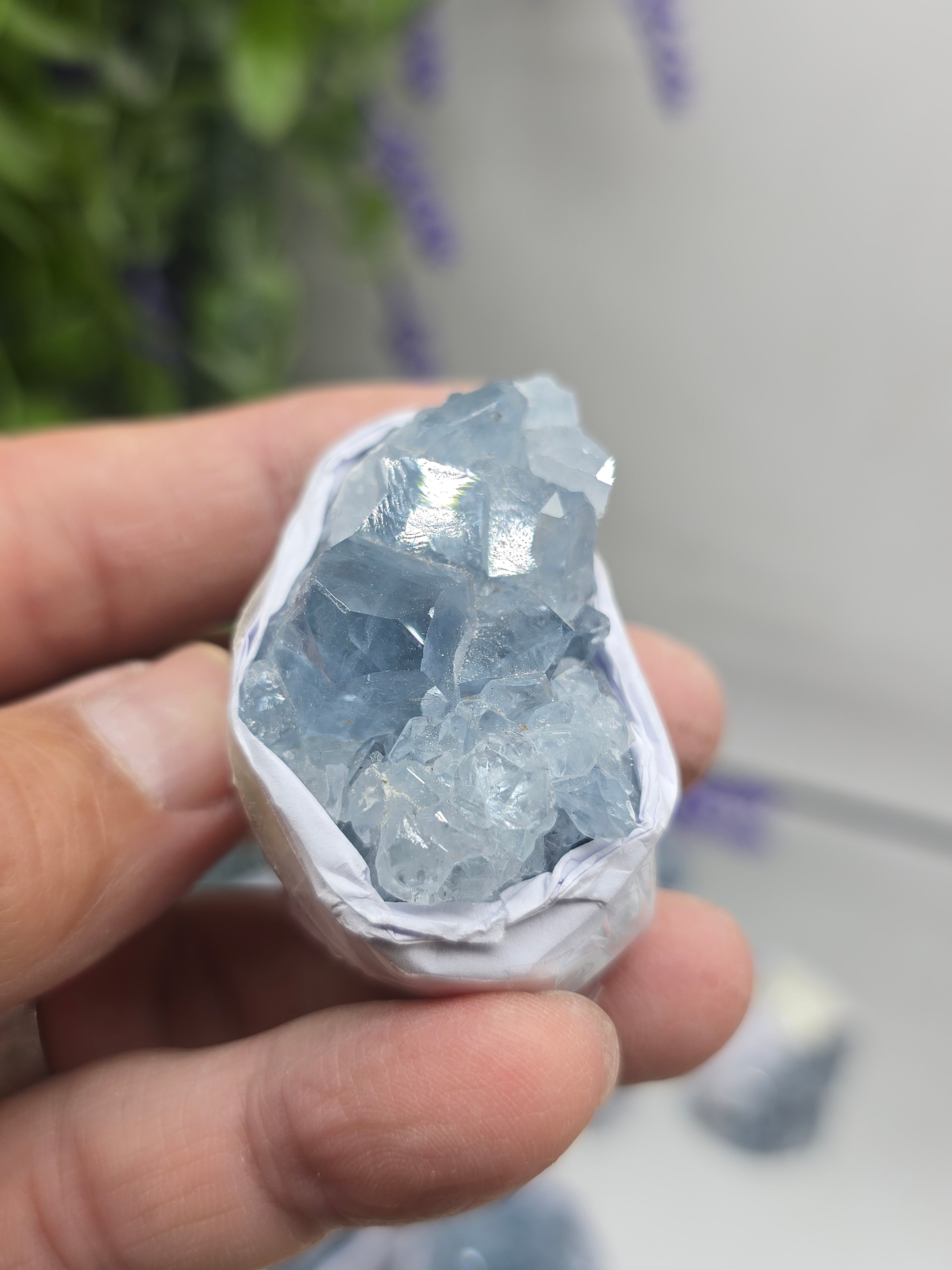 Celestite Small Cluster Collection – Natural Sky Blue Crystal Variety Sizes Crystal Wellness