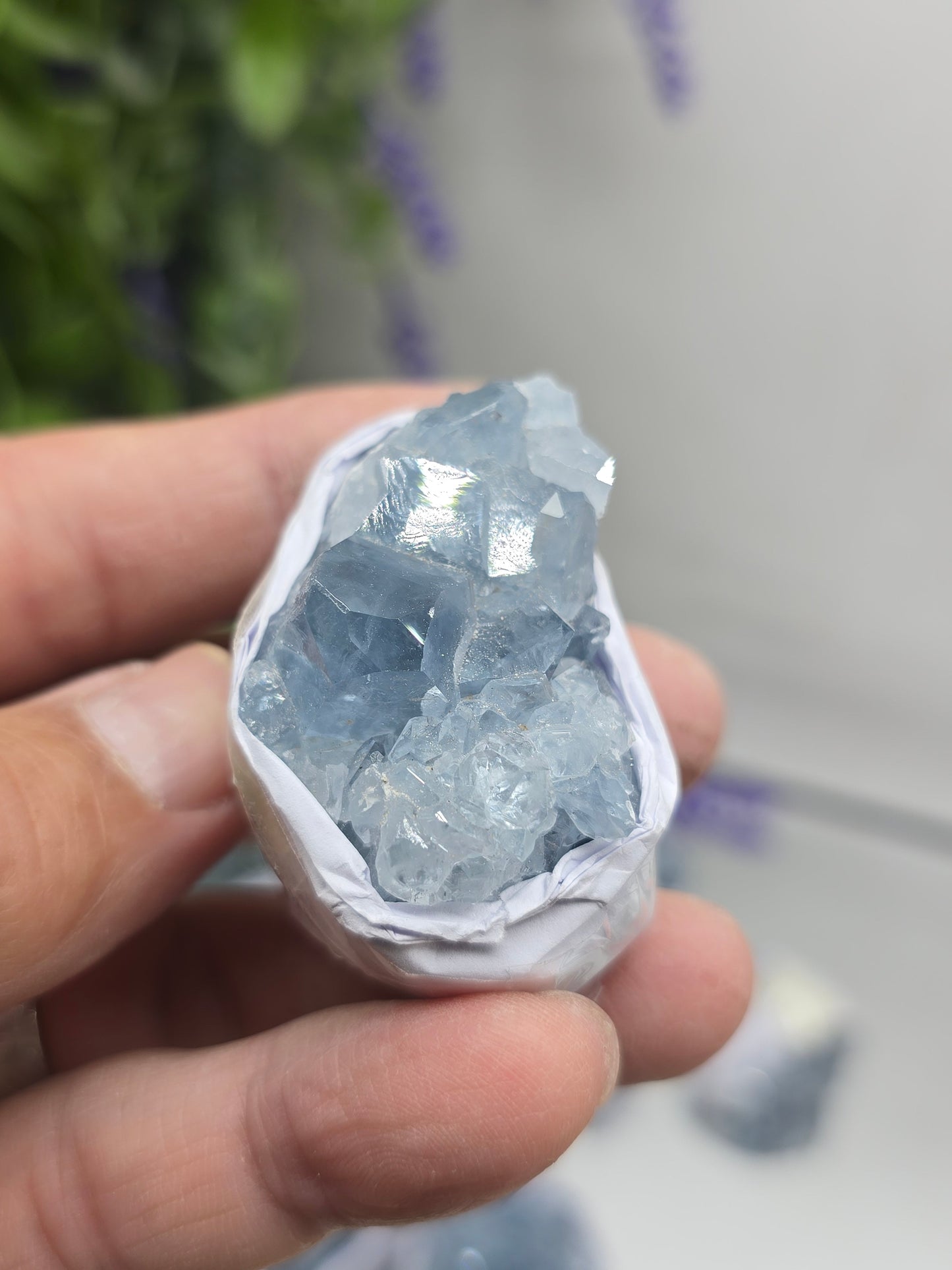 Celestite Small Cluster Collection – Natural Sky Blue Crystal Variety Sizes Crystal Wellness