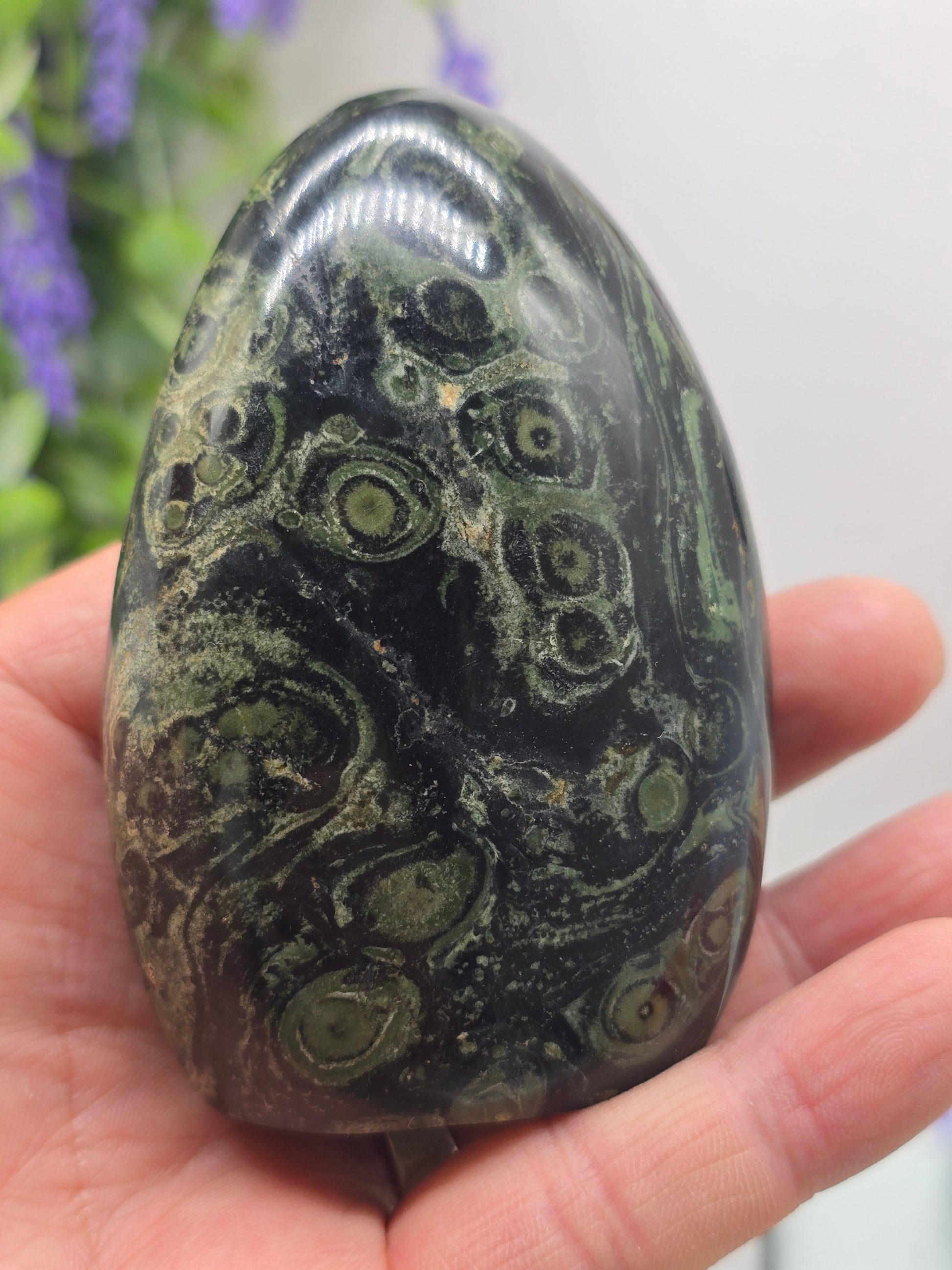 Premium Kambaba Jasper Freeform – Stone of Peace, Tranquility & Ancient Wisdom Crystal Wellness
