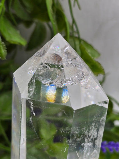 Clear Quartz Generator 14 × 5 × 5 cm (Stone of Amplification & Clarity)