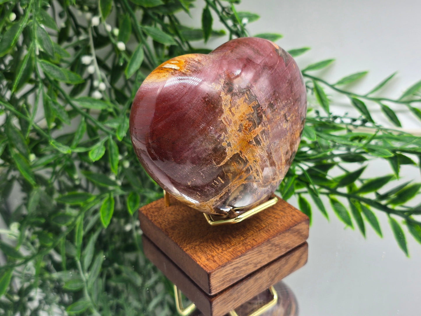 Premium Grade Madagascar Petrified Wood Heart with Wooden Stand – 480g (Stone of Stability and Enduring Success) Crystal Wellness