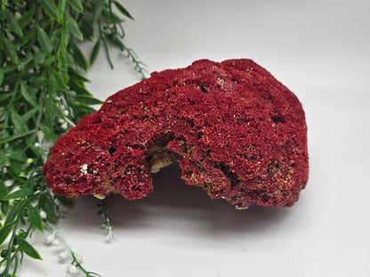 Exquisite Red Coral Specimen 19x14x8cm | 0.7kg – Collector’s Piece of Strength & Vitality Crystal Wellness