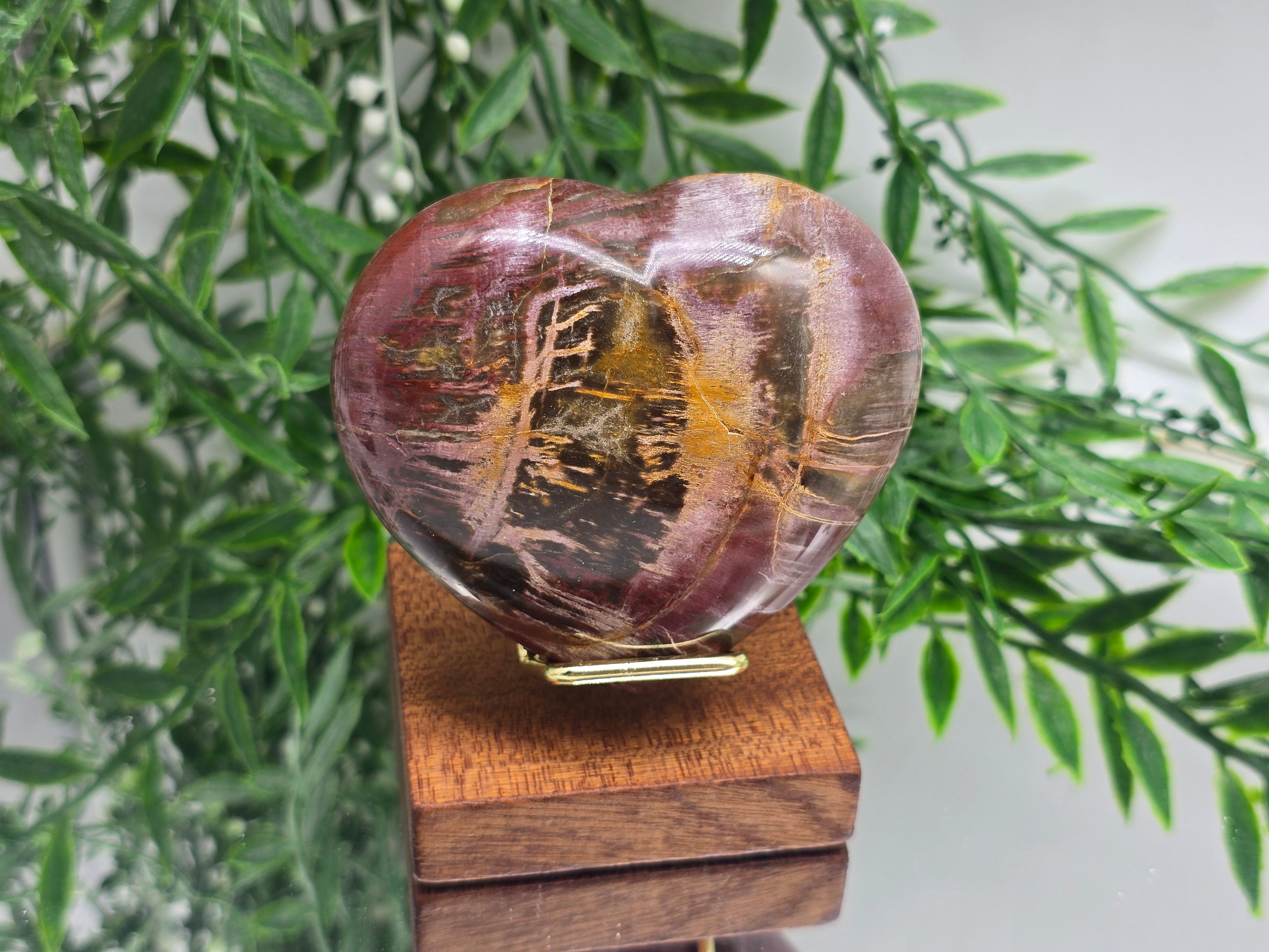 Madagascar Petrified Wood Heart – Ancient Wisdom, Grounded Success & Prosperity | 325g Crystal Wellness