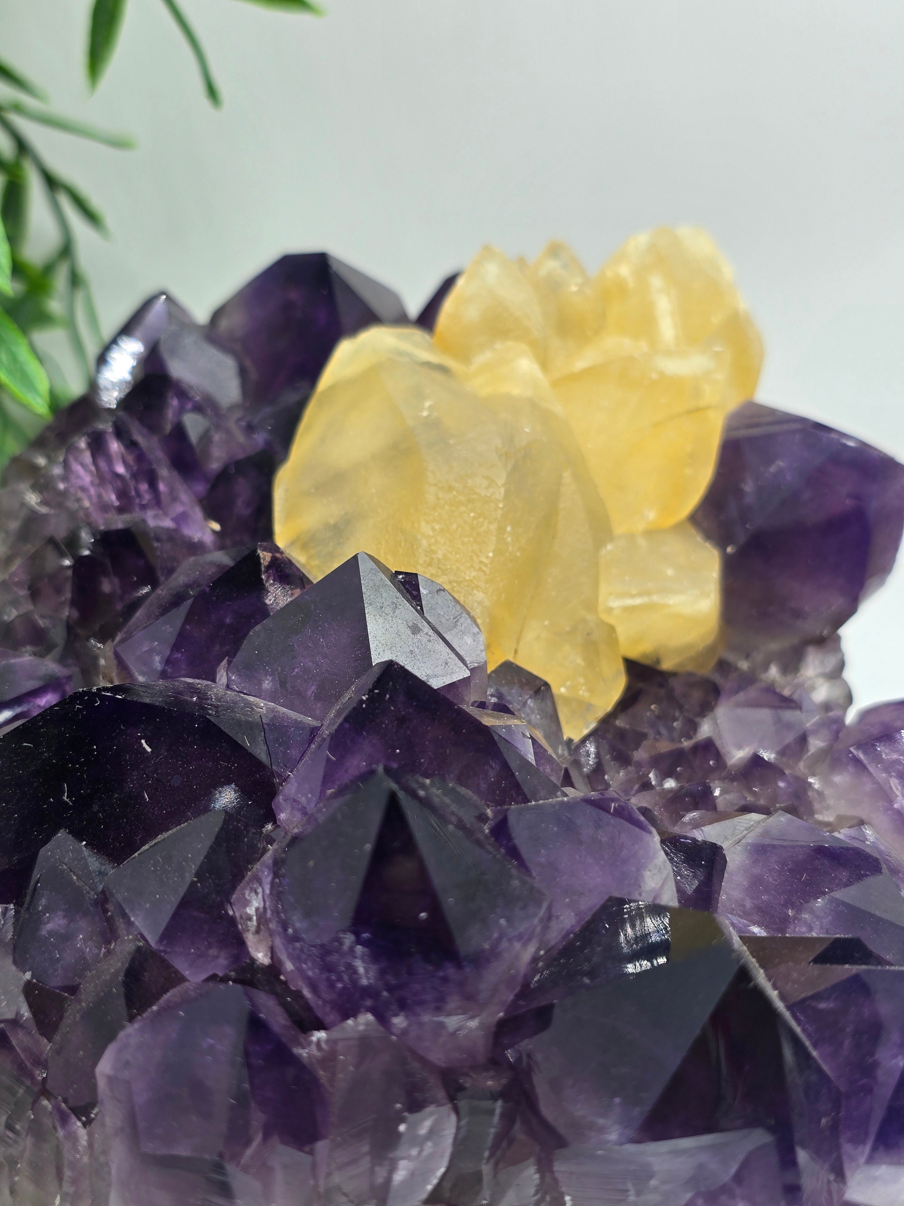 Yellow Calcite & Amethyst Crystal Fusion – Rare 3.5kg Collector’s Gem Crystal Wellness