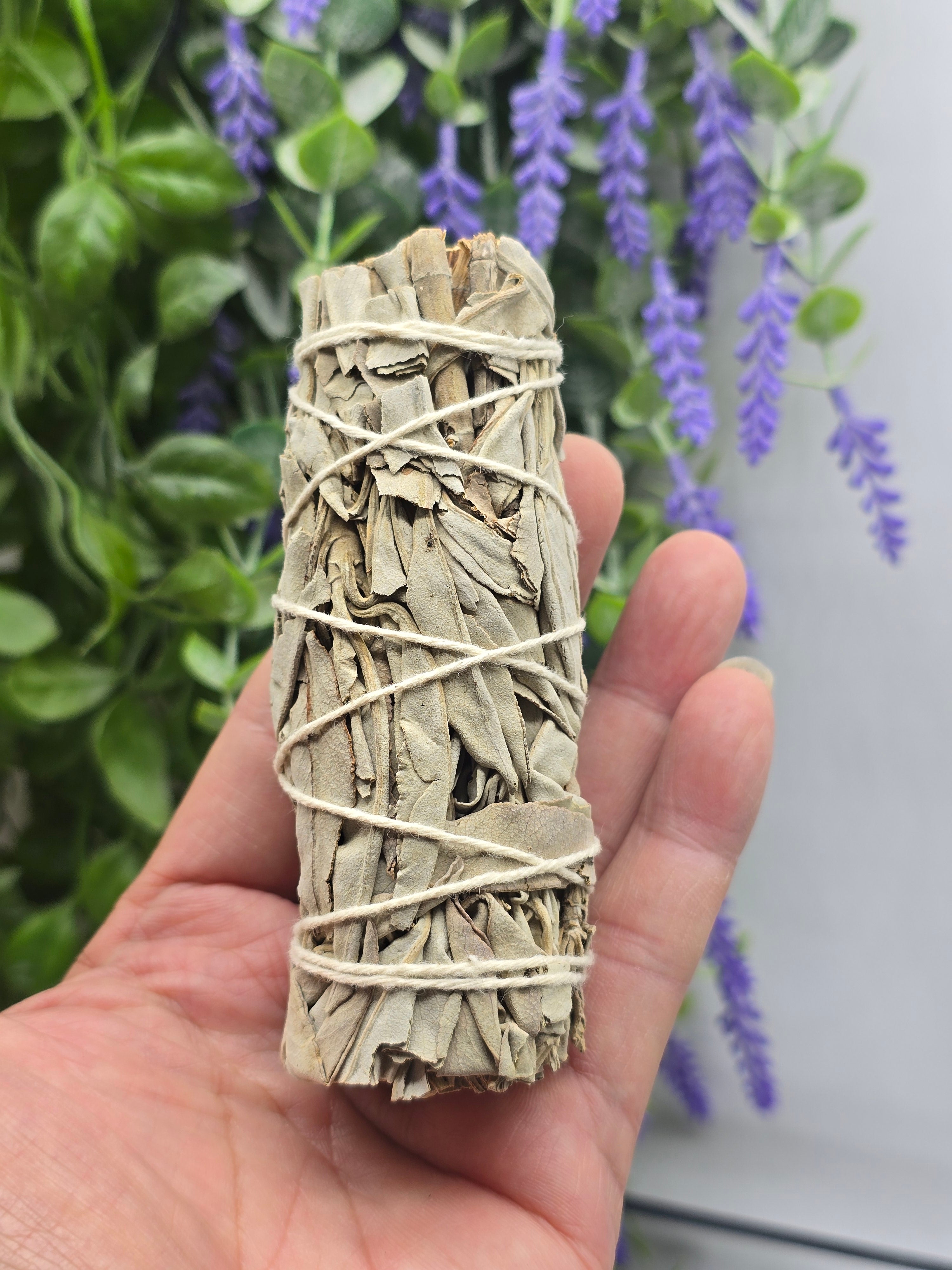 Premium Californian White Sage Smudge Stick 10cm – Natural Energy Cleansing & Spiritual Protection Crystal Wellness