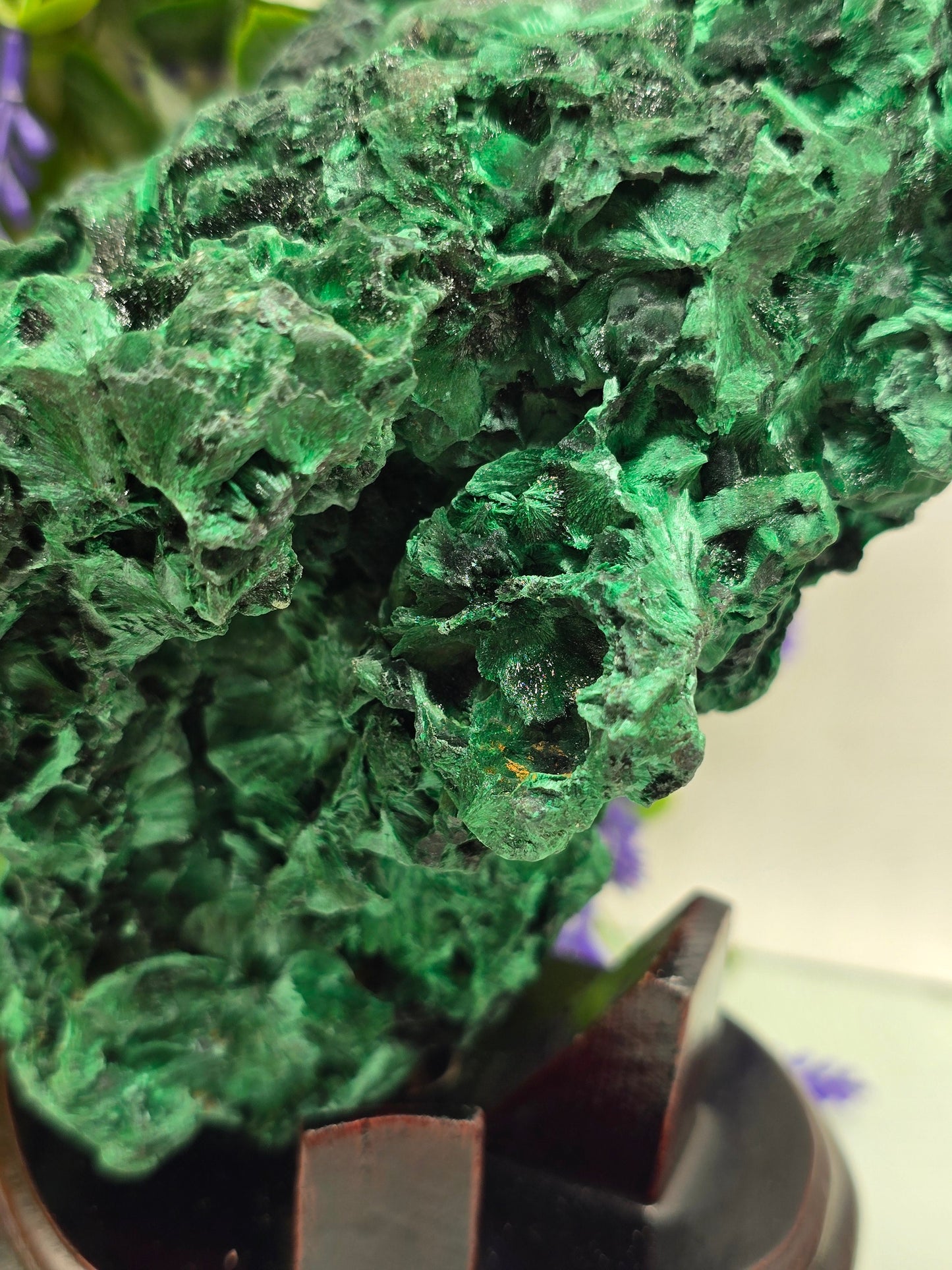 Luxury High-Grade Fibrous Malachite Freeform Display Specimen – Stone of Transformation & Empowered Growth Crystal Wellness