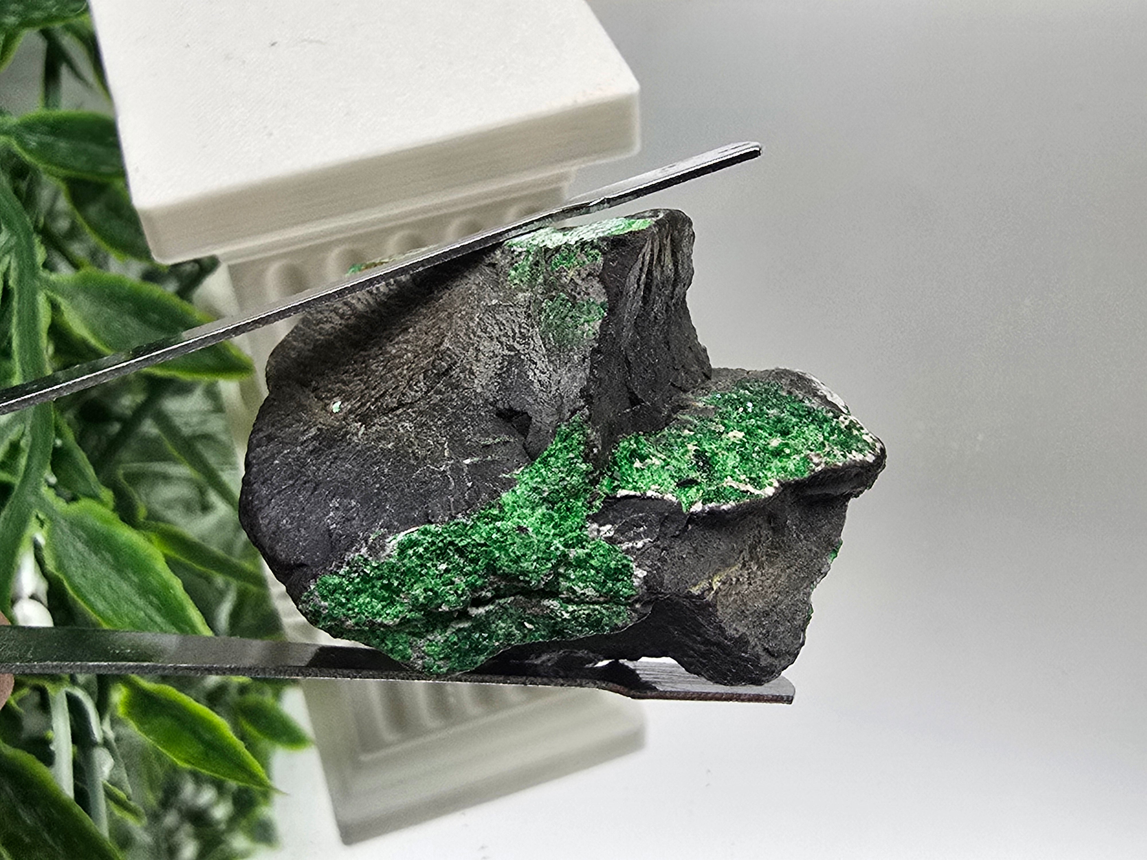 Uvarovite Rare AAA 41 × 33 × 25 mm (Stone of Abundant Heart & Prosperity) Crystal Wellness