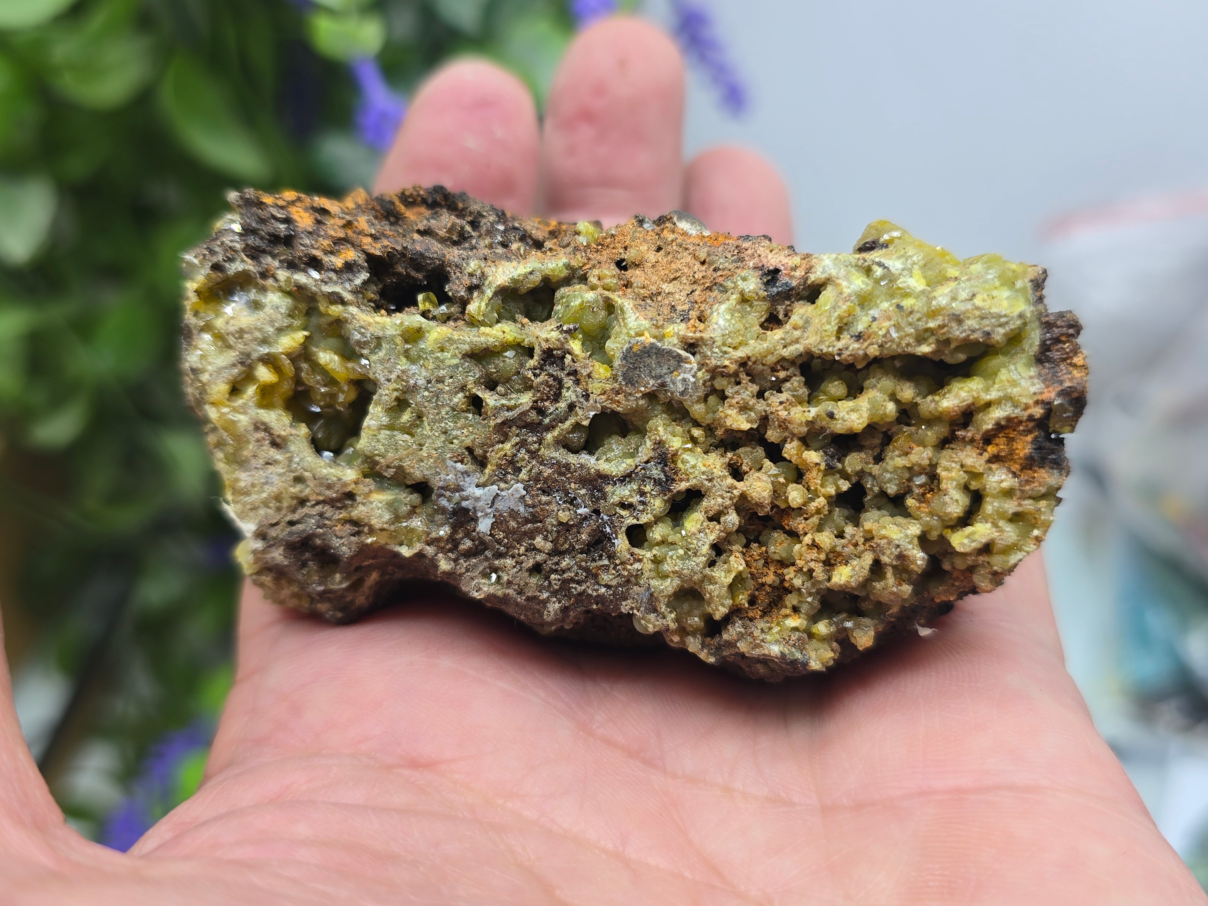 Natural Rare Wulfenite on Matrix – Golden Vision, Transformation & Inspired Action Crystal Wellness