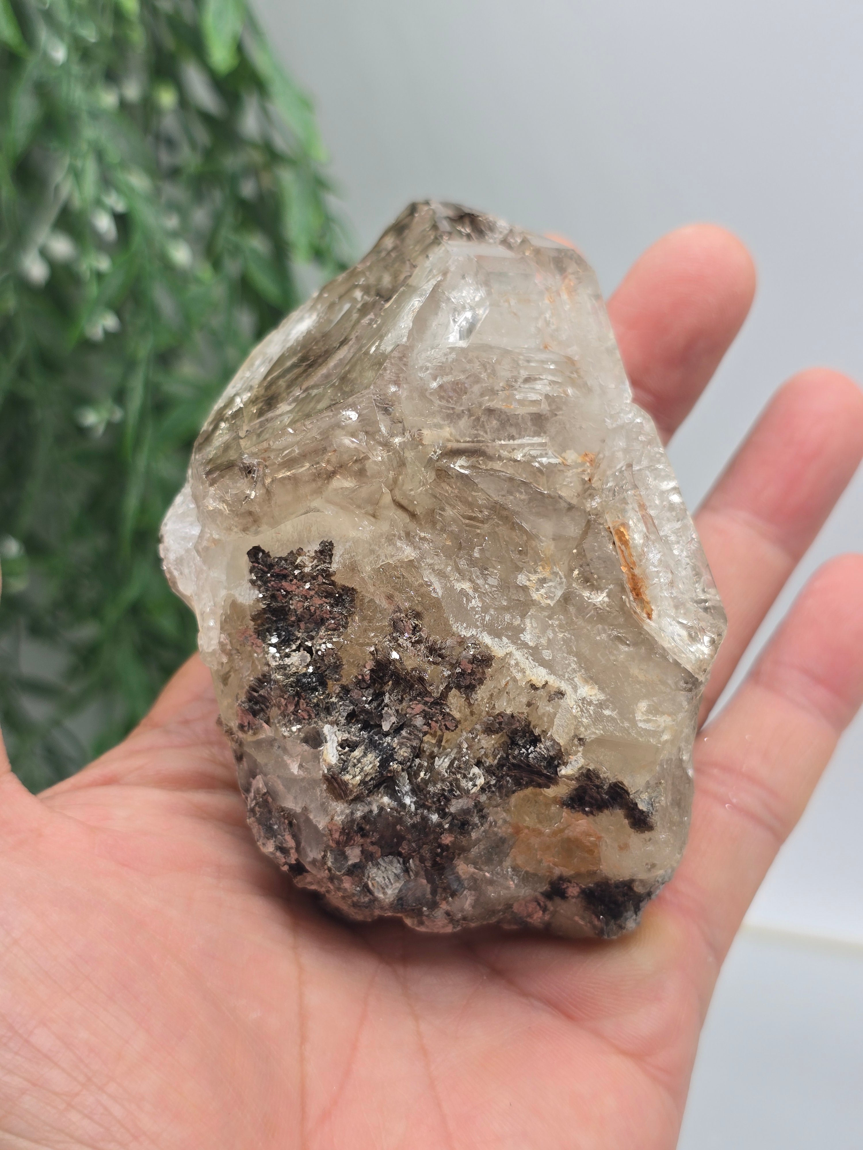 Elestial Quartz Specimen 10 × 6 × 5 cm (Stone of Ancient Wisdom & Spiritual Ascension) Crystal Wellness