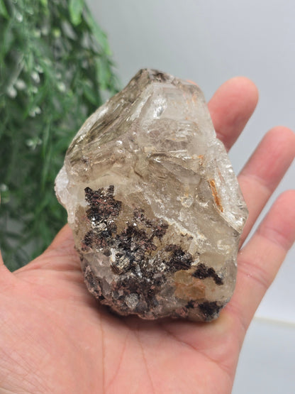 Elestial Quartz Specimen 10 × 6 × 5 cm (Stone of Ancient Wisdom & Spiritual Ascension) Crystal Wellness