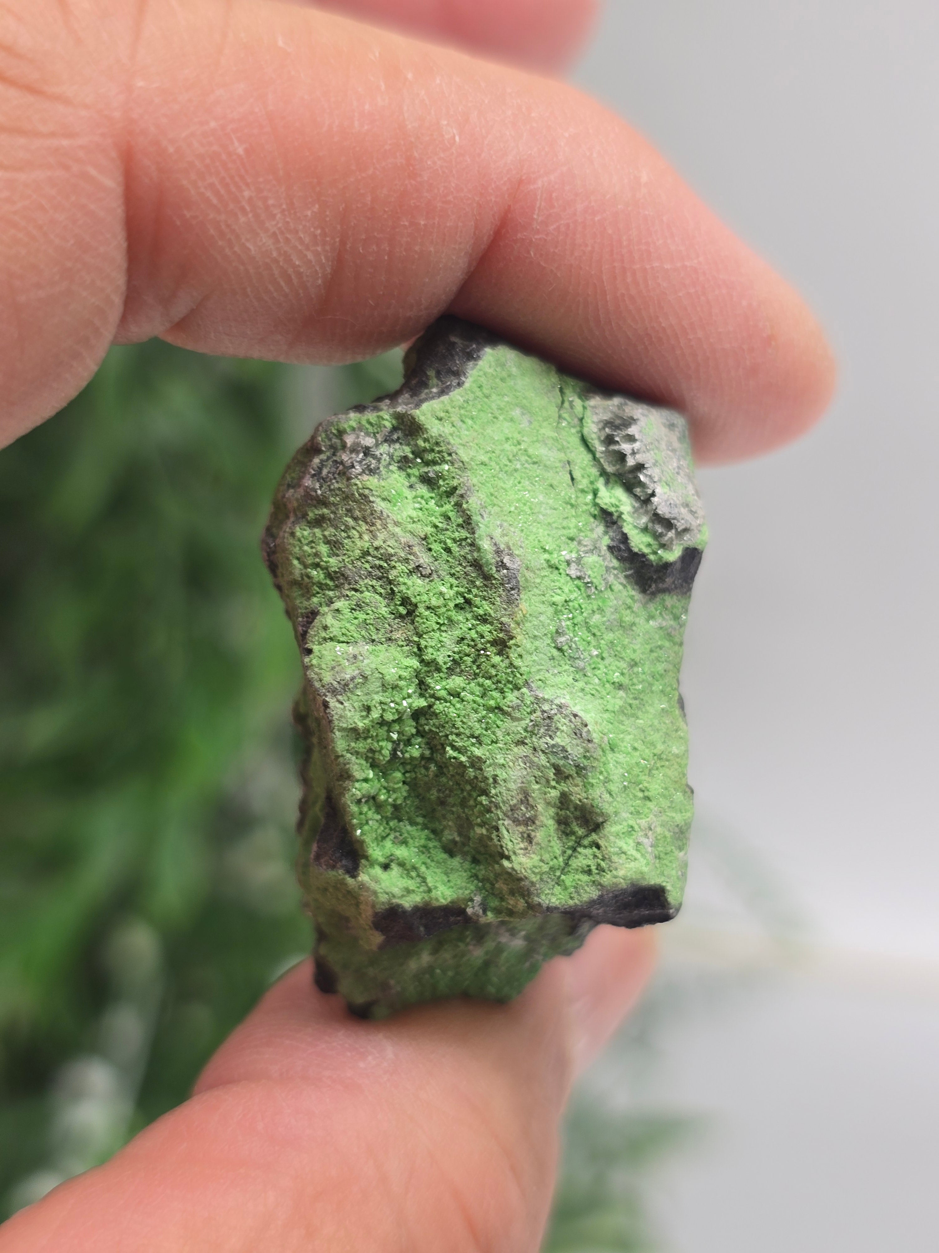 Uvarovite Rare 41 × 23 × 24mm (Stone of Abundant Heart & Prosperity) Crystal Wellness