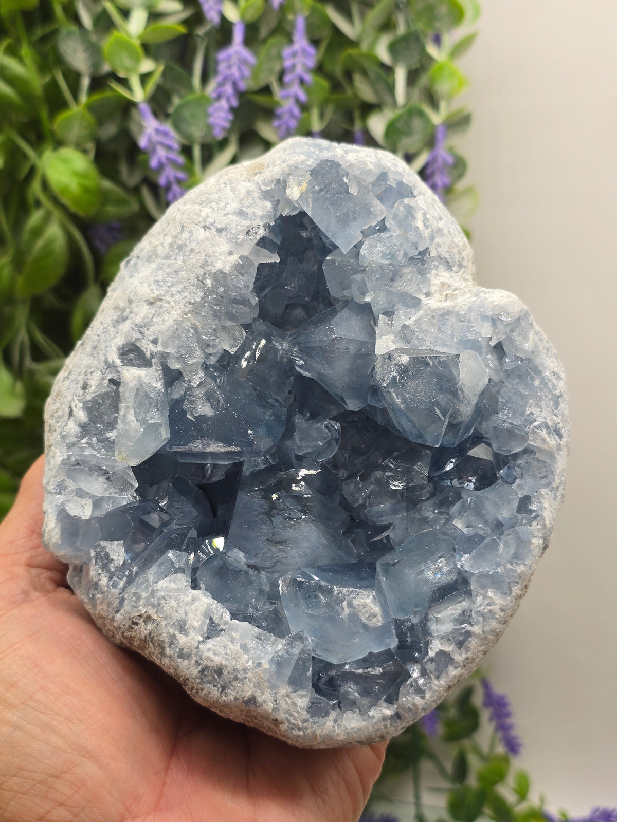 Celestite Geode High Grade – Stone of Divine Peace, Angelic Connection & Inner Harmony | 2.2kgs Crystal Wellness