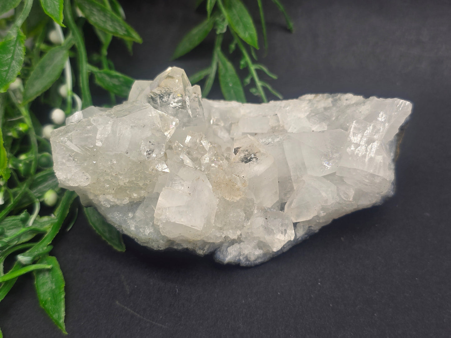 Apophyllite #3 Crystal Wellness
