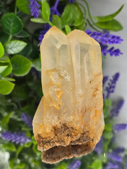 Madagascar Genuine Natural Citrine Cluster – 115g (Stone of Abundance, Confidence & Manifestation) Crystal Wellness