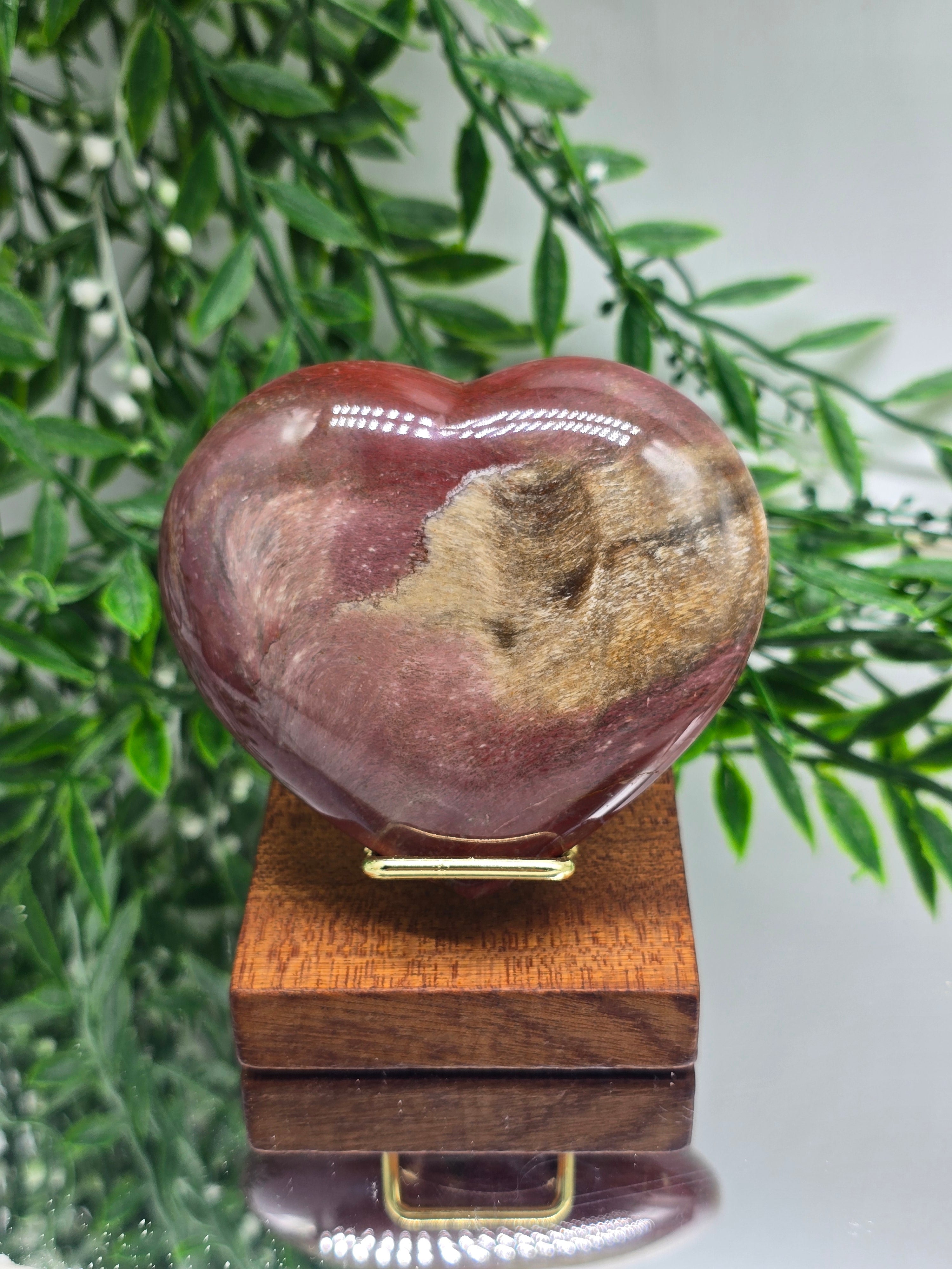 Petrified Wood Heart – Madagascar | 254g (Stand Included) Crystal Wellness
