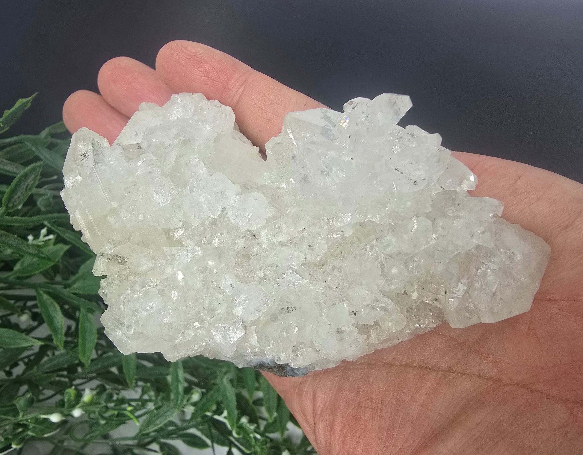 Apophyllite #8 Crystal Wellness