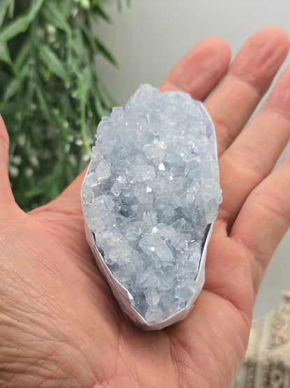 Natural Celestite Cluster – Madagascar | Angelic Communication, Peace & Spiritual Connection Crystal Wellness