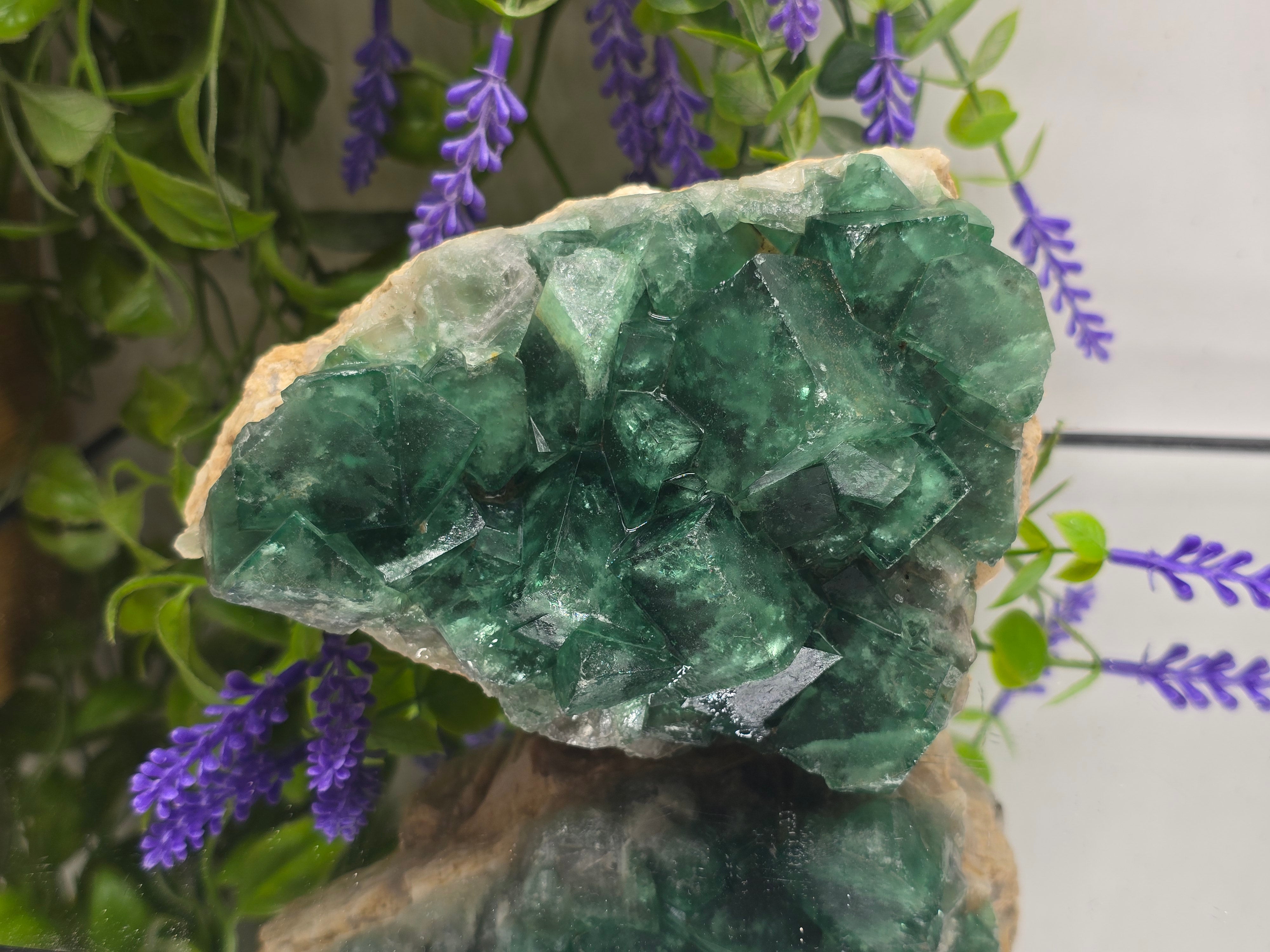 Natural Green Fluorite Cluster — Madagascar (Stone of Clarity & Renewal) Crystal Wellness
