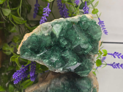 Natural Green Fluorite Cluster — Madagascar (Stone of Clarity & Renewal) Crystal Wellness