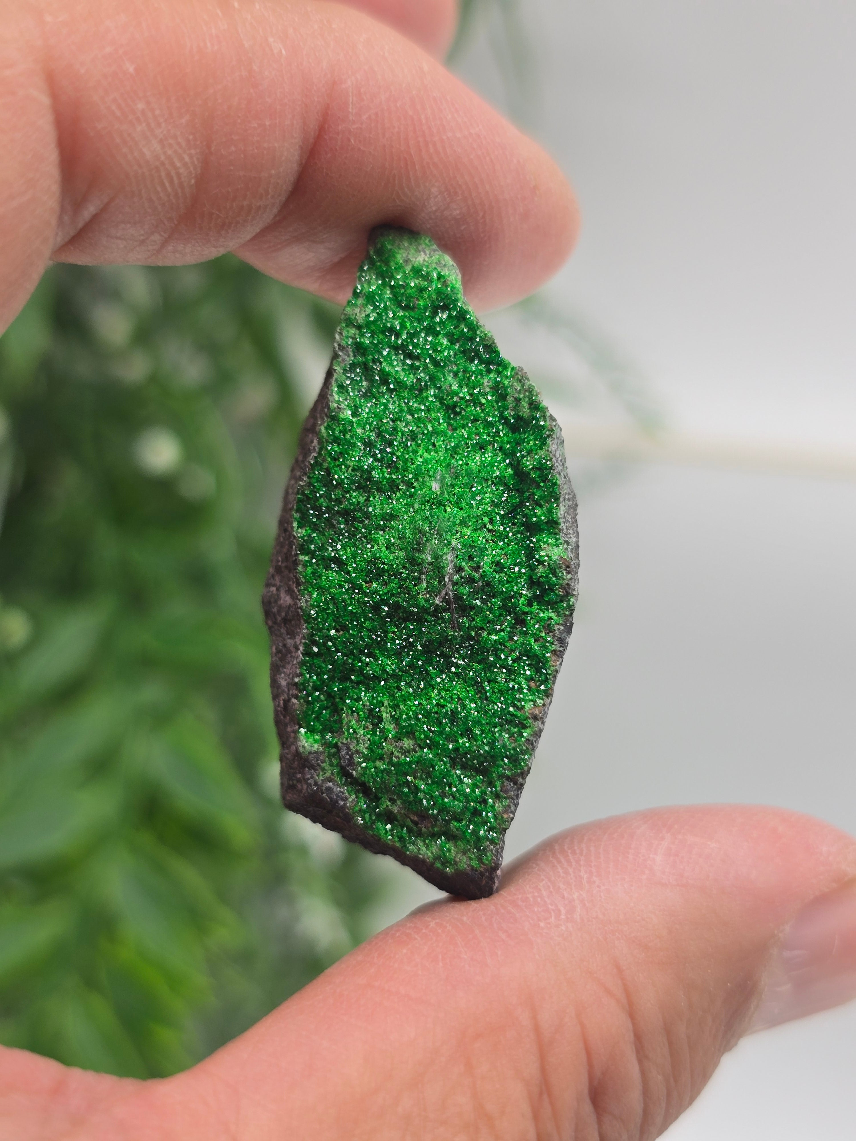 Uvarovite Rare AAA 46 × 20 × 17 mm (Stone of Abundant Heart & Prosperity) Crystal Wellness