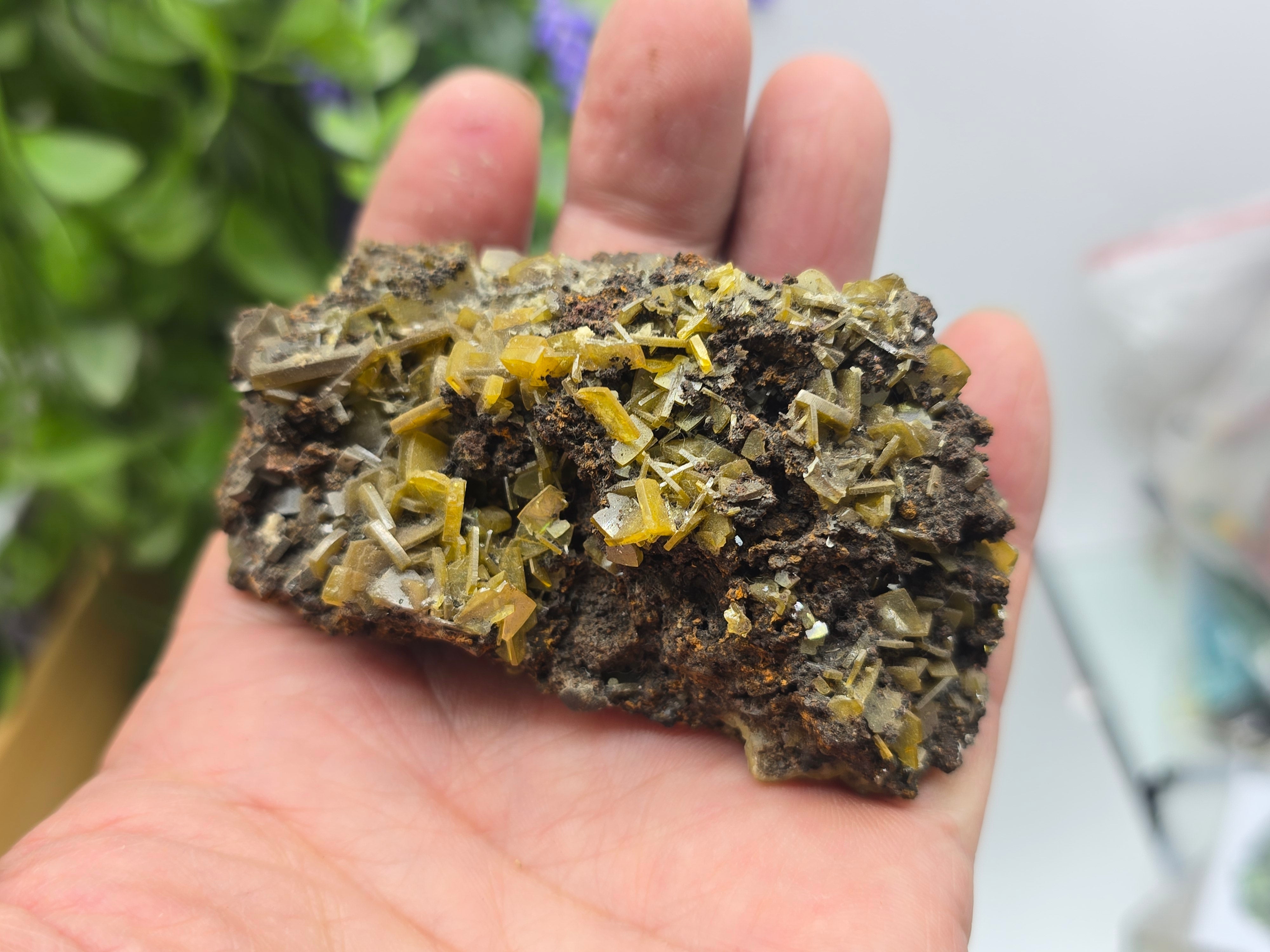Natural Rare Wulfenite on Matrix – Golden Vision, Transformation & Inspired Action Crystal Wellness