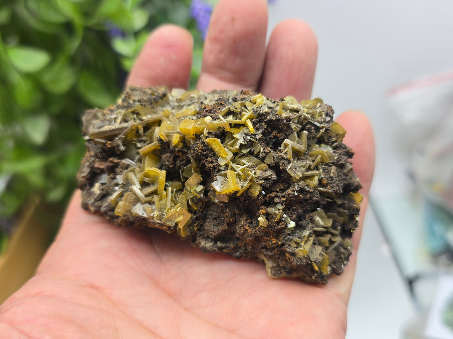 Natural Rare Wulfenite on Matrix – Golden Vision, Transformation & Inspired Action Crystal Wellness