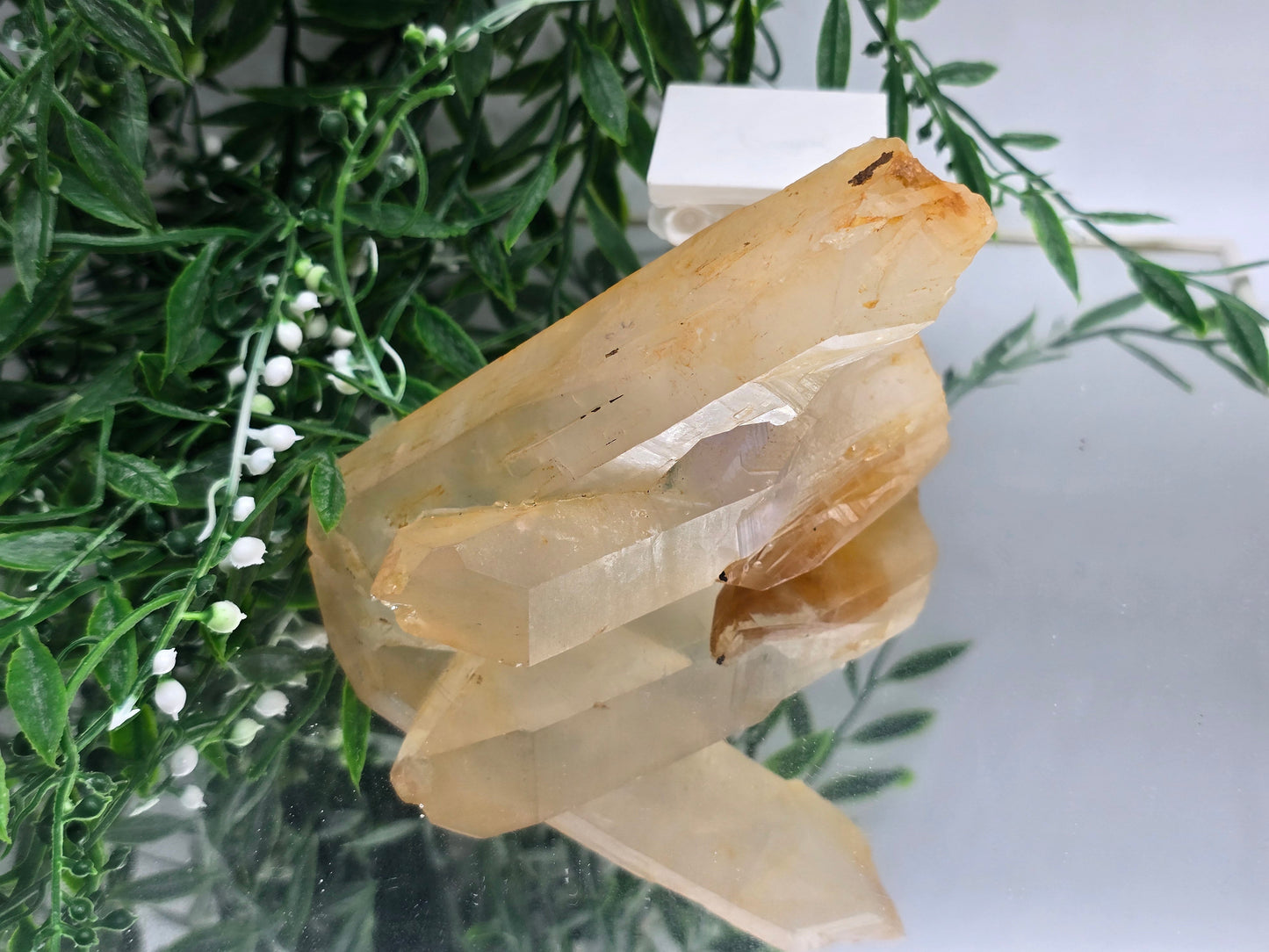 Genuine Natural Citrine Crystal Cluster | Stone of Abundance & Joy | 317g Crystal Wellness