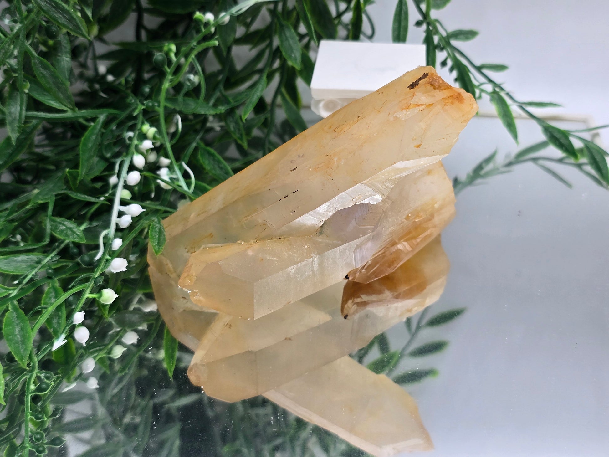 Genuine Natural Citrine Crystal Cluster | Stone of Abundance & Joy | 317g Crystal Wellness