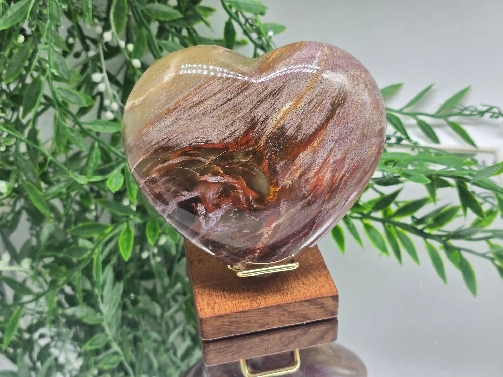 Premium Grade Madagascar Petrified Wood Heart – Stone of Stability and Enduring Success | 700g Crystal Wellness