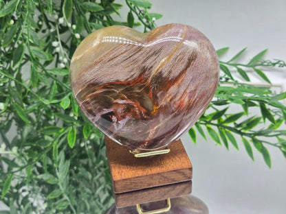 Premium Grade Madagascar Petrified Wood Heart – Stone of Stability and Enduring Success | 700g Crystal Wellness