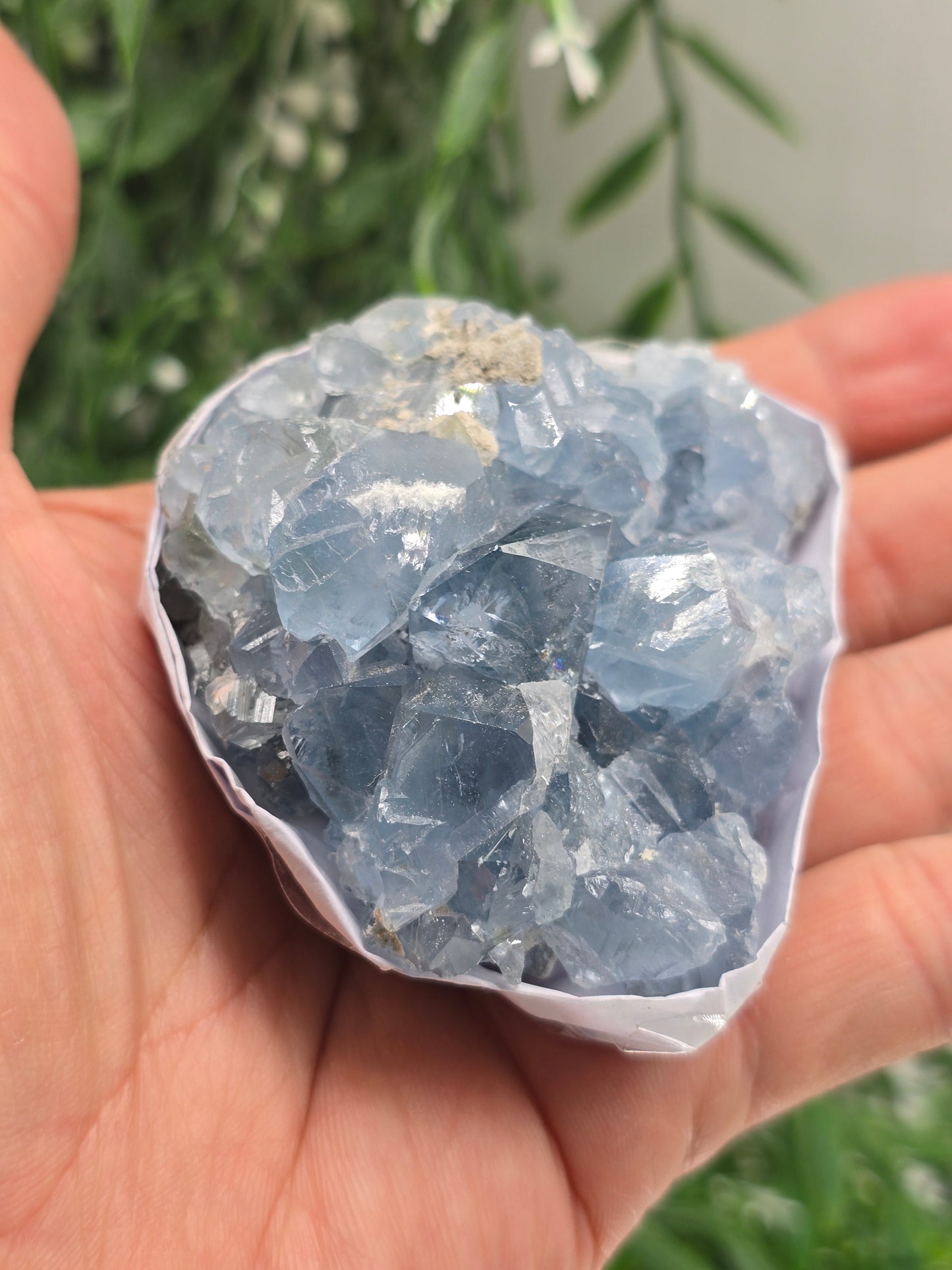 Natural Celestite Cluster – Madagascar | Angelic Communication, Peace & Spiritual Connection Crystal Wellness