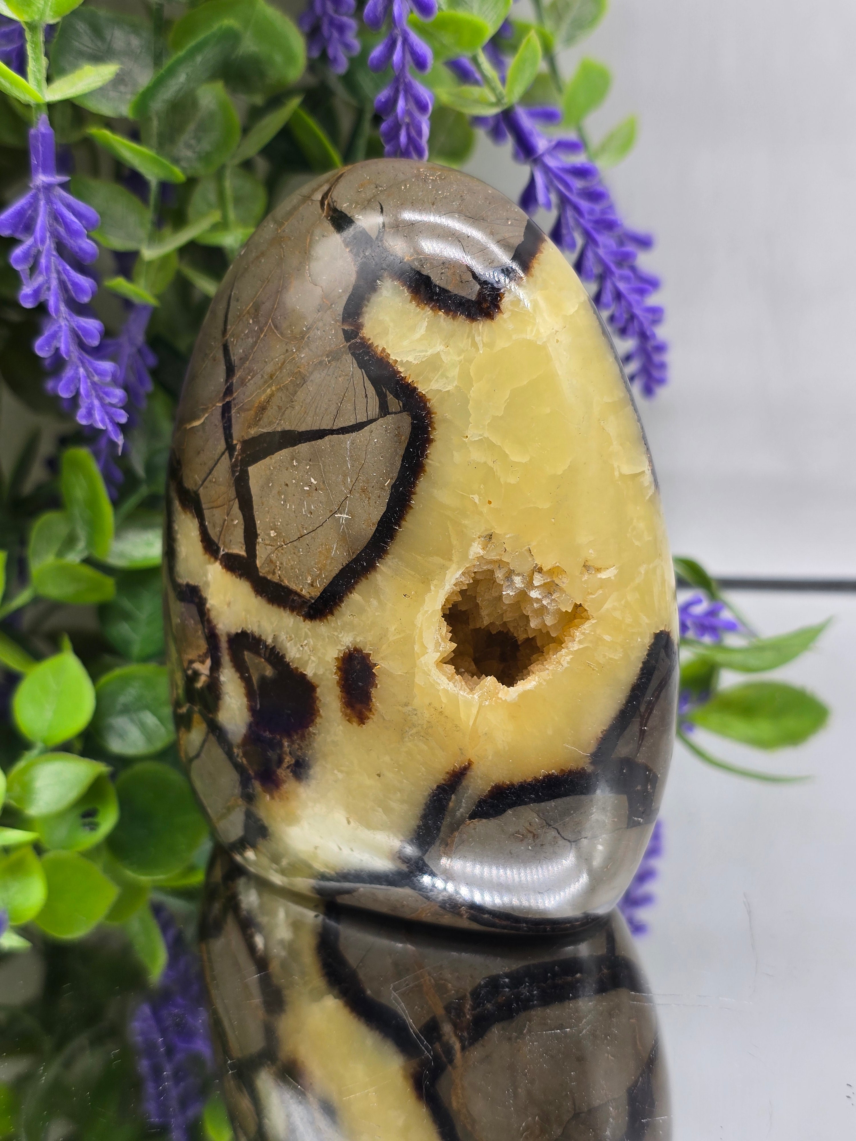 Septarian Freeform High Grade – 741g | Stone of Dragon, Grounding, Confidence & Emotional Balance Crystal Wellness