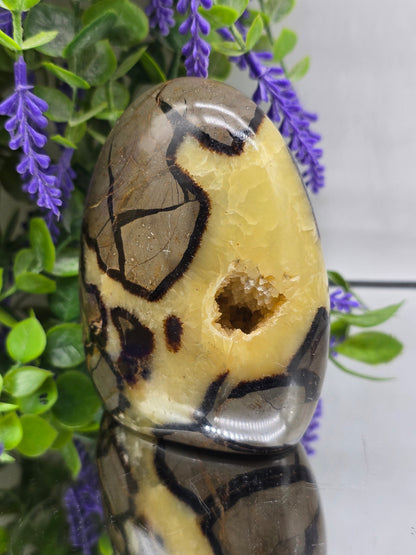 Septarian Freeform High Grade – 741g | Stone of Dragon, Grounding, Confidence & Emotional Balance Crystal Wellness