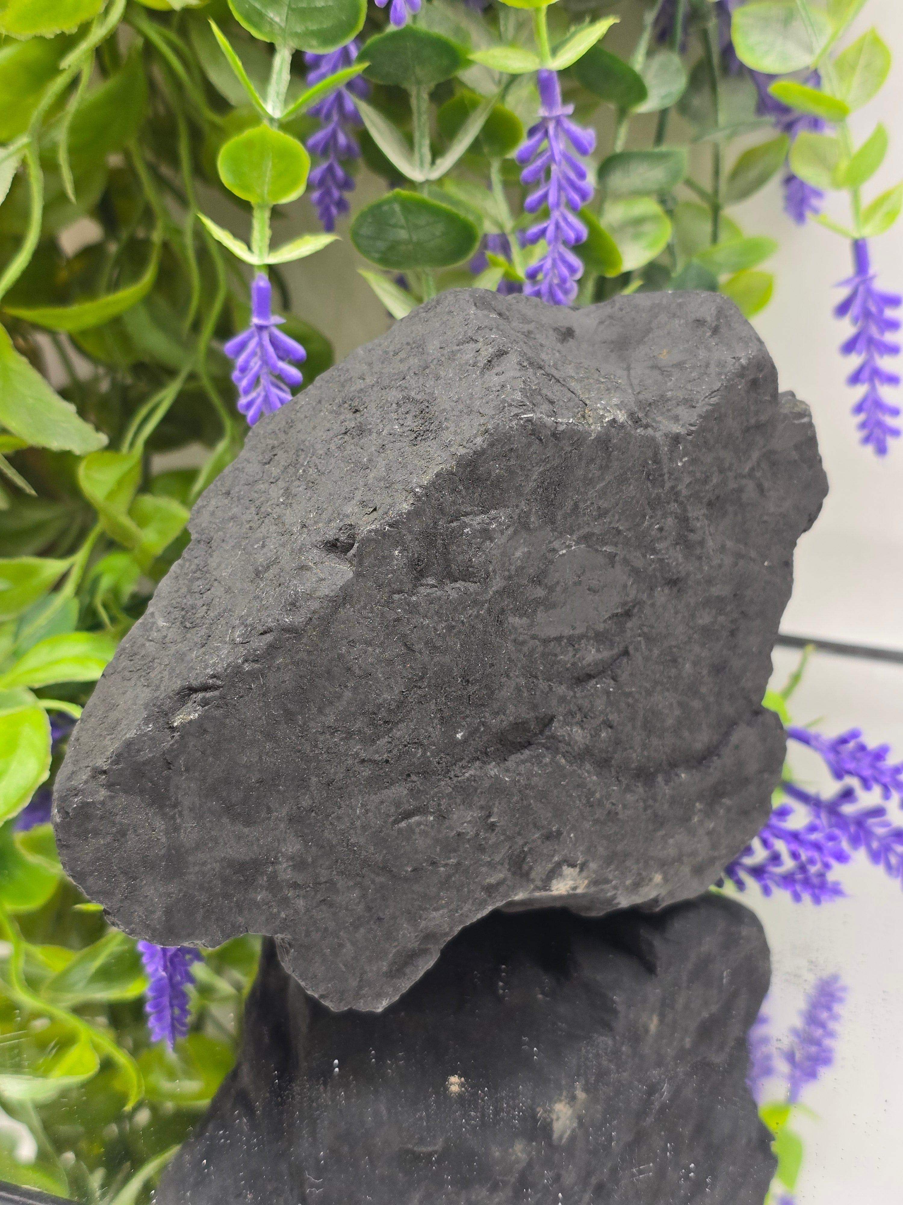 Raw Shungite — Stone of Grounding & Protection | 1.3kgs Crystal Wellness
