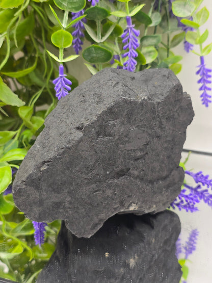 Raw Shungite — Stone of Grounding & Protection | 1.3kgs Crystal Wellness
