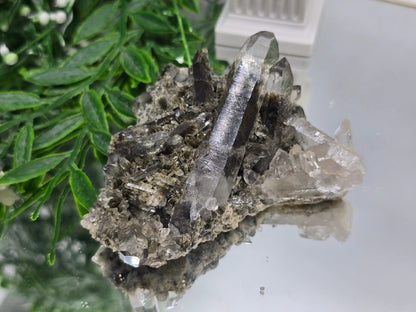 Black Phantom Quartz Cluster 8×8 cm (Stone of Shadow Integration & Spiritual Transformation) Crystal Wellness