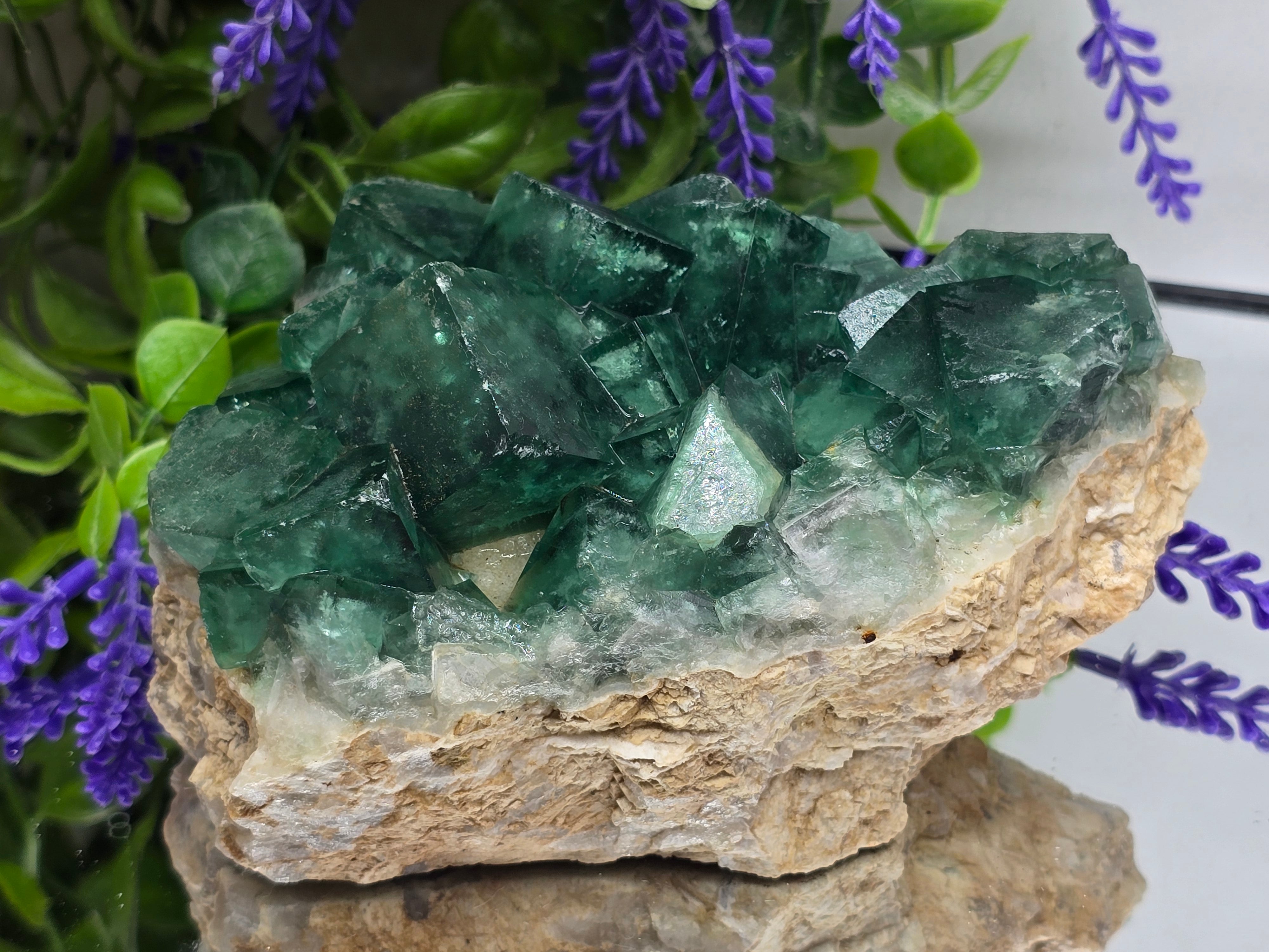 Natural Green Fluorite Cluster — Madagascar (Stone of Clarity & Renewal) Crystal Wellness