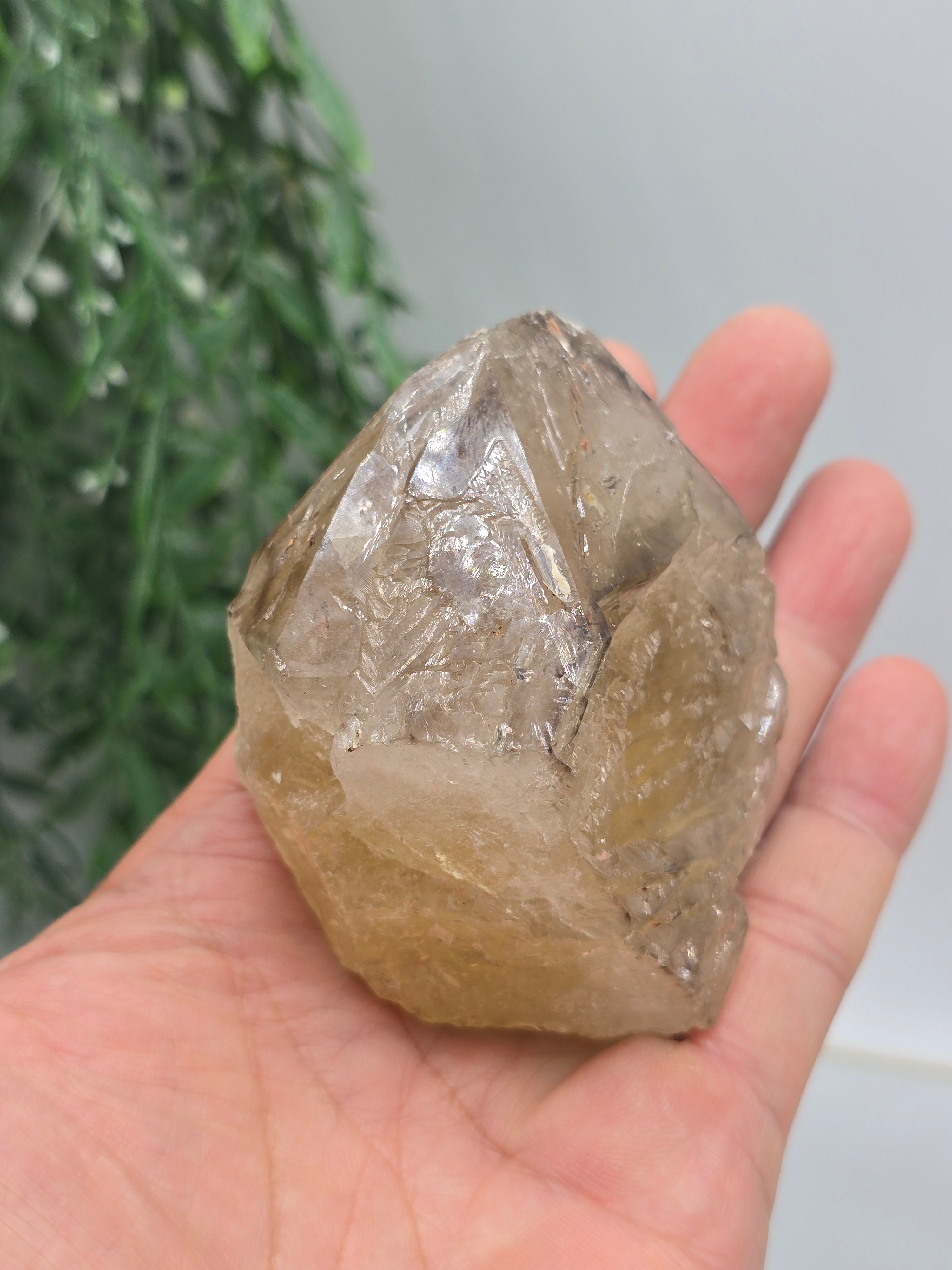 Elestial Quartz Specimen 8 × 7 × 6 cm (Stone of Ancient Wisdom & Spiritual Ascension) Crystal Wellness