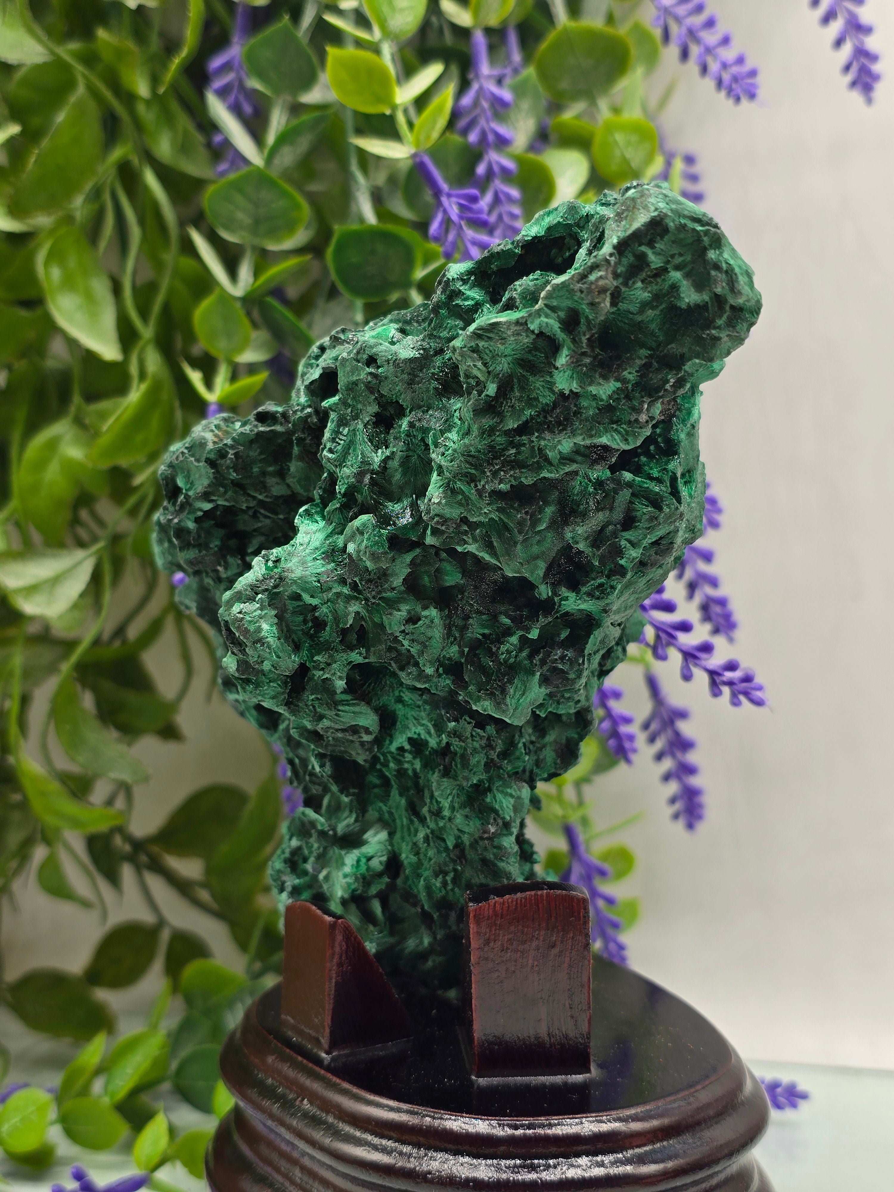 Luxury High-Grade Fibrous Malachite Freeform Display Specimen – Stone of Transformation & Empowered Growth Crystal Wellness