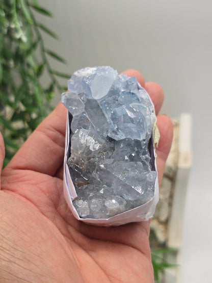 Natural Celestite Cluster – Madagascar | Angelic Communication, Peace & Spiritual Connection Crystal Wellness
