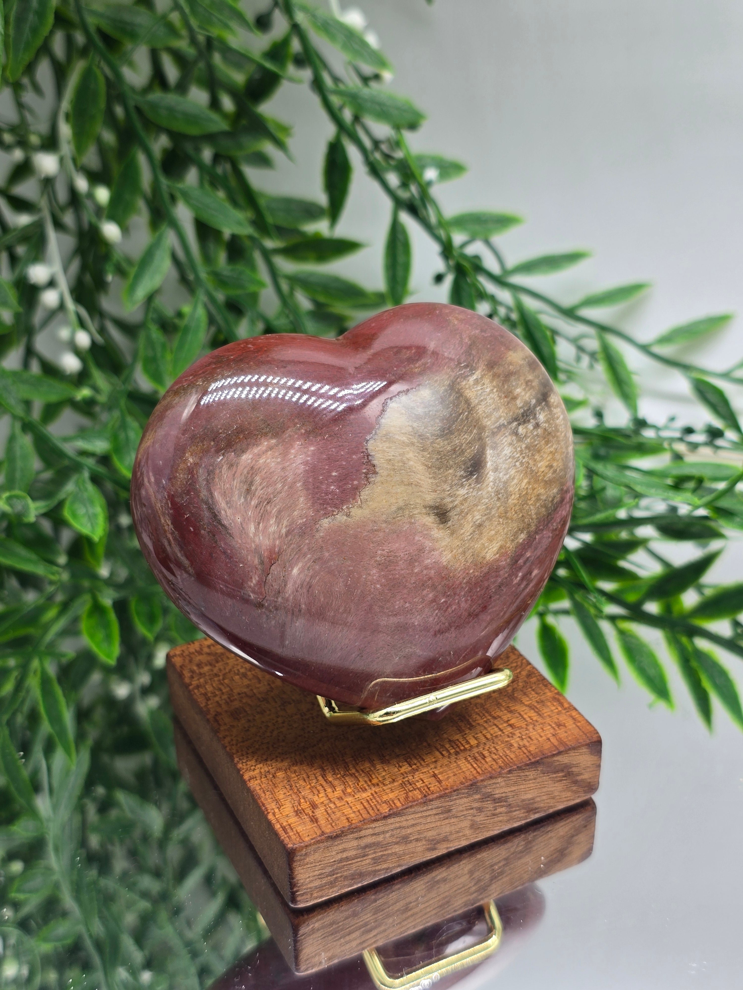 Petrified Wood Heart – Madagascar | 254g (Stand Included) Crystal Wellness