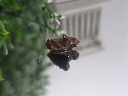 ✨ Sikhote-Alin Iron Meteorite – 2.75g | Starfire of Ancient Universes Crystal Wellness